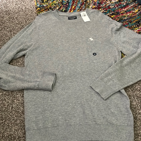 Abercrombie & Fitch Other - BNWT Mens Abercrombie Sweater Size Medium